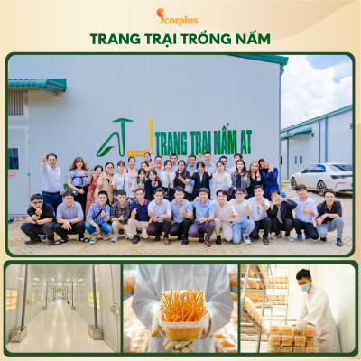 [LOẠI THƯỢNG HẠNG] Nước chiết xuất trùng thảo fucoidan SCORIUS 70ml bồi bổ sức khỏe