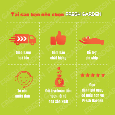 Bánh Quy Hạnh Nhân Ăn Vặt FRESH GARDEN Dinh Dưỡng Vượt Trội Thơm Ngon Tốt Cho Sức Khỏe Hộp 110g