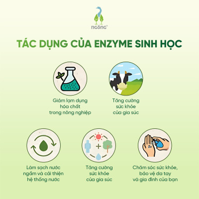 Lau Sàn Nhà Fuwa3e Hương Sả Chanh/Tinh Dầu Quế Enzyme Sinh Học Sạch Khuẩn Đuổi Muỗi An Toàn Chai 1L