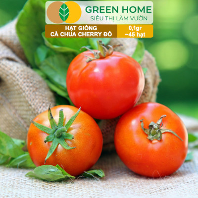 Hạt Giống Cà Chua Cherry Đỏ Lai F1 GreenHome, Gói 0,1g~45 hạt, Dễ Trồng Quanh Năm, Nhiều Quả T43