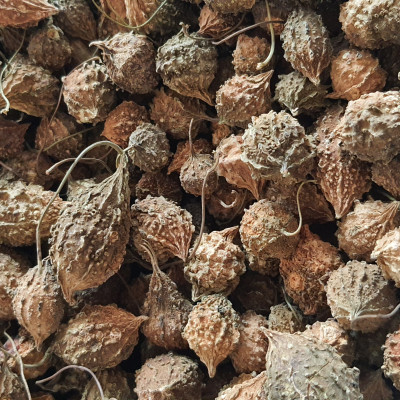 Đặc Sản Kon Tum - Trái Khổ Qua Rừng Sấy Khô Thơm Ngon Hiệu Đặc Sản Và Dược Liệu Kon Tum (1Kg) - OCOP 3 Sao