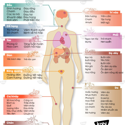 Tinh dầu Cỏ gừng Kobi Ginger grass essential oil giúp đuổi muỗi, khử mùi, làm thơm phòng - 5ml