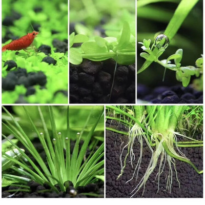 Phân nền thủy sinh DIAMAX AQUA 2KG + 2 Xốp Lọc Bể Cá 90x30cm vật liệu lọc nước hồ cá siêu sạch 