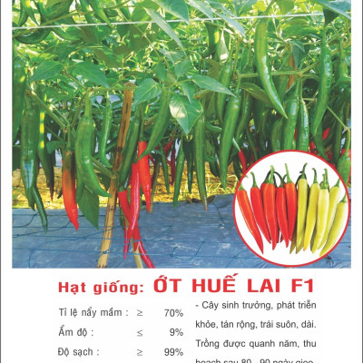 Hạt giống Ớt Huế F1 - Ớt Chỉ Địa - Ớt Sừng Huế cay thơm nồng VTP105
