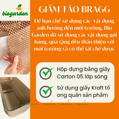 Dấm táo BRAGG Hữu cơ Nhập khẩu USA chai 946ml