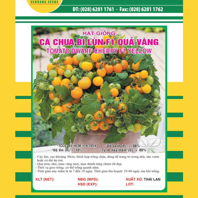 Hạt giống cà chua Bi Lùn Vàng F1 VTS136