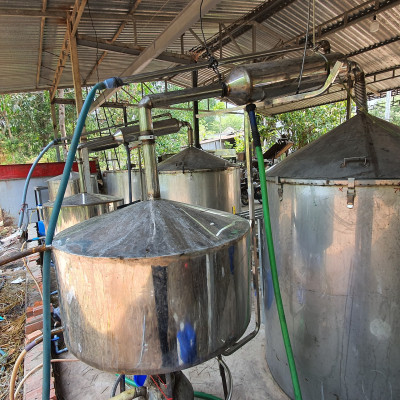 Tinh dầu Khuynh Diệp (bạch đàn) 10ml nguyên chất từ thiên nhiên - Mộc Mây