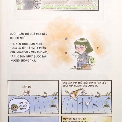 Chú Mèo Rụng Lông Không Có Điểm Dừng