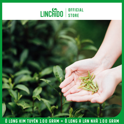 Combo 2 Hộp Trà Ô Long Kim Tuyên Và Ô Long A Lan Nhã - Hộp 100Gram