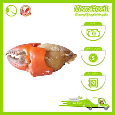 [GIAO NHANH HCM] Chân Cua Tuyết Canada Size  Trung - Túi 1Kg (5-6 cụm chân)