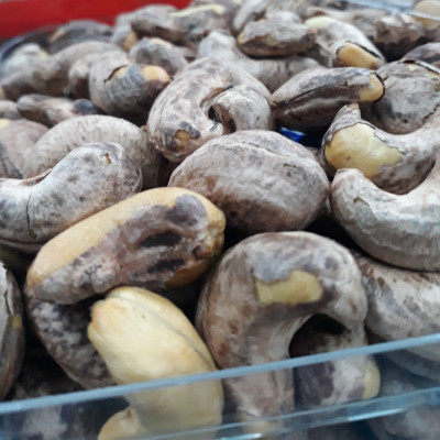 Hạt Điều Lụa Rang Muối Cao Cấp A+ Natureplus | Túi 500gr Thơm Giòn Mới