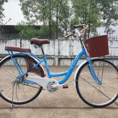 Xe đạp mini Vinabike 26inch đẹp, nan thưa