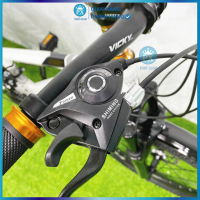 Xe đạp trẻ em Vicky VF22 bánh 22inch