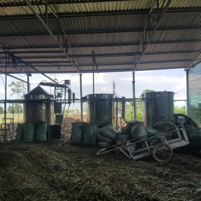 Tinh dầu Sả chanh 100ml Mộc Mây - tinh dầu nguyên chất 100% từ thiên nhiên - chất lượng và mùi hương vượt trội