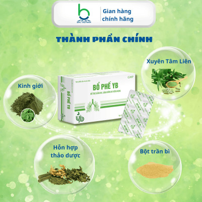 Viên Uống Bổ Phế YB Hỗ Trợ Giảm Ho, Giảm Đờm, Bổ Phế Hiệu Quả - 30 viên