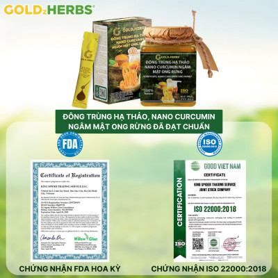 Hàng chính hãng - Đông trùng hạ thảo, Nano Curcumin ngâm mật ong rừng GoldzHerbs, 100% mật ong nguyên chất – Hũ 300g/ Hộp 15 gói