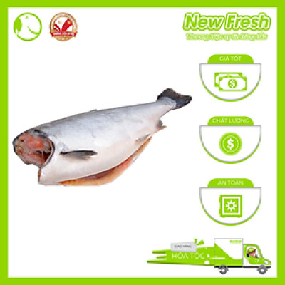 Cá Hồi Chile Nguyên Con Đông Lạnh Không Đầu Thơm Ngon Dinh Dưỡng | 1 Con ~ 4 - 4.5Kg