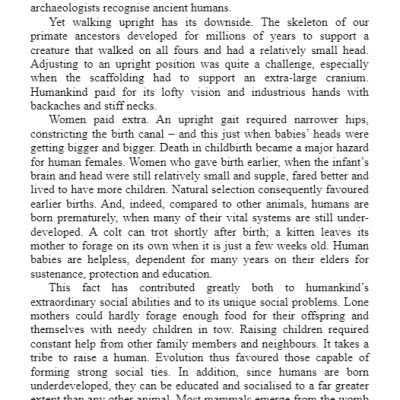 Sapiens : A Brief History of Humankind (Paperback)