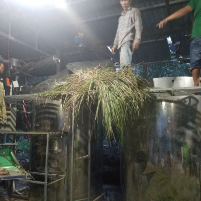 Tinh dầu Sả Chanh Organic 100ml Mộc Mây - tinh dầu nguyên chất từ thiên nhiên - Có kiểm định Bộ Y Tế, chất lượng và mùi hương vượt trội