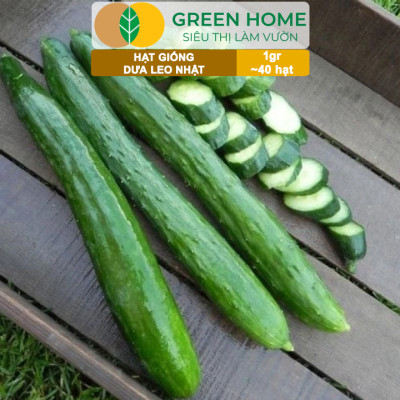 Hạt Giống Dưa Leo Nhật Lai F1 Greenhome, Gói 1gr 40 hạt, Dễ Trồng Quanh Năm, Nảy Mầm Cao, T24