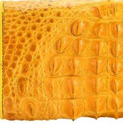 Ví Nữ Da Cá Sấu 3 Gấp Nguyên Con Huy Hoàng HT3299 (19 x 10.5 cm) - Vàng Nghệ
