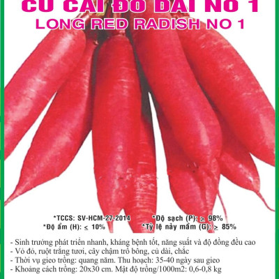 Hạt giống củ cải đỏ dài cao sản Italy năng suất cao VTS21