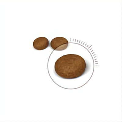 ROYAL CANIN CHĂM SÓC DA VÀ LÔNG-HAIR & SKIN DRY CAT FOOD
