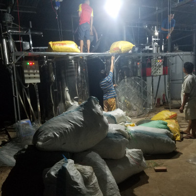 Tinh dầu Tràm Organic hữu cơ 10ml Mộc Mây - tinh dầu thiên nhiên nguyên chất 100% - dùng xông tắm ngừa cảm lạnh, giảm côn trùng cắn đốt cho Bé, Trẻ sơ sinh và Trẻ nhỏ | An toàn cho làn da nhạy cảm của Bé