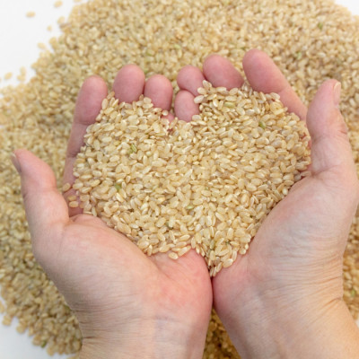 GẠO LỨT NHẬT HOKKAIDO NANATSUBOSHI