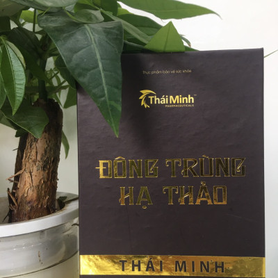 Đông trùng hạ thảo Thái Minh- Bồi bổ cơ thể, tăng cường sức khỏe