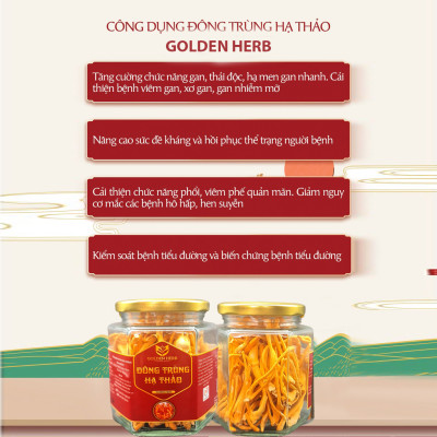 Đông trùng hạ thảo thượng hạng sấy khô 20gr/hũ