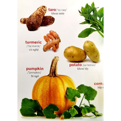 Từ Điển Bằng Tranh - Rau Củ Quả