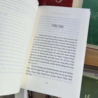 Sách - Danh nhân Việt Nam (Nhã Nam HCM)