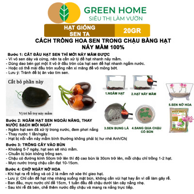 Hạt Giống Hoa Sen Ta GreenHome, Gói 20 Gram, Dễ Trồng, Nảy Mầm Tốt, Bông To, Lá Dày H10