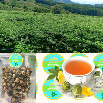 Đặc Sản Kon Tum - Trái Khổ Qua Rừng Sấy Khô Thơm Ngon Hiệu Đặc Sản Và Dược Liệu Kon Tum (1Kg) - OCOP 3 Sao