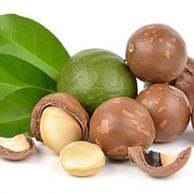 500G Macca Nứt Vỏ Hàng Nhập Khẩu Cao Cấp Thương Hiệu SK FOOD