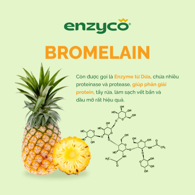 Nước lau đa năng sinh học ENZYCO 475ml - Chiết xuất Bồ hòn và Enzyme Dứa