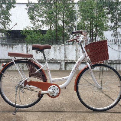 Xe đạp mini Vinabike 26inch đẹp, nan thưa