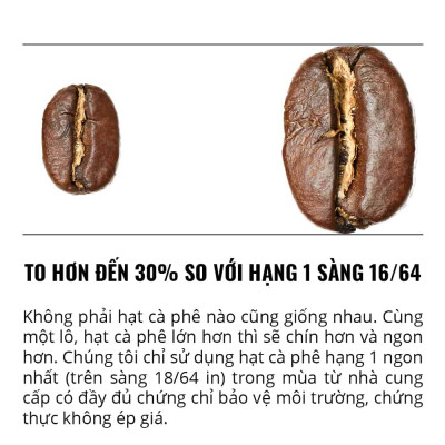 Cà Phê Rang Xay Thunder No.8 Gu Việt Pha Phin/Pha Máy – 1864 CAFÉ trọng lượng tịnh 220g