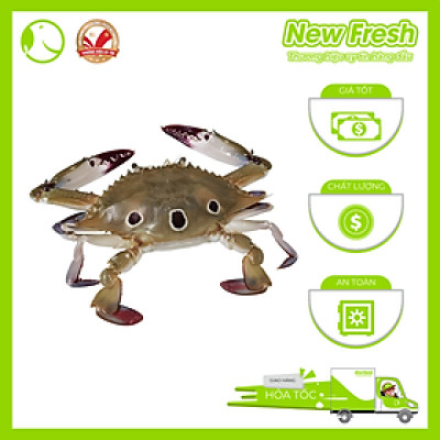 Ghẹ Xanh Nguyên Con Cấp Đông - Túi 1Kg