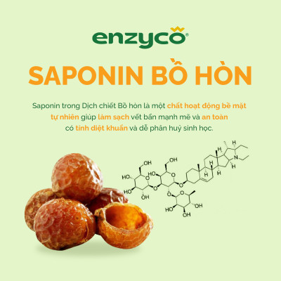 Nước lau đa năng sinh học ENZYCO 475ml - Chiết xuất Bồ hòn và Enzyme Dứa