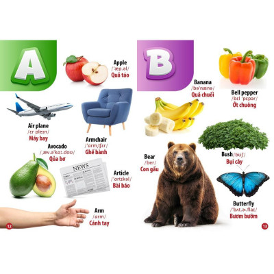 Sách - Từ Điển Bằng Hình - Chữ Cái Và Số Đếm - Song Ngữ Anh Việt - Việt Thư