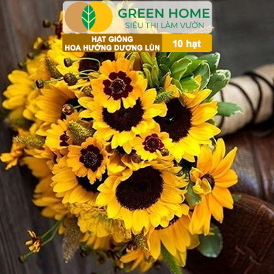 Hạt Giống Hoa Hướng Dương Greenhome, Gói 10 hạt, Sai Hoa, Màu Rực Rỡ, Dễ Trồng, Nảy Mầm Cao H03