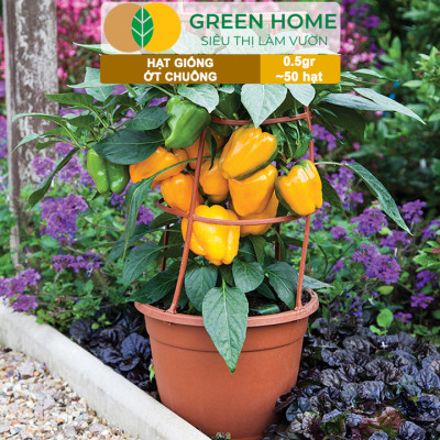 Hạt Giống Ớt Chuông GreenHome, Gói 0,5gr~50 hạt, Dễ Trồng Quanh Năm, Thu Hoạch Nhanh, Năng Suất Cao G13