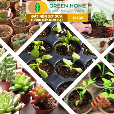 Đất Trồng Cây Greenhome, Viên Nén 500gr, Đã Qua Xử Lý, Bổ Sung Vi Sinh, Nở Gấp 5 Lần, Trồng Rau Hoa