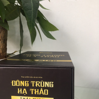 Đông trùng hạ thảo Thái Minh- Bồi bổ cơ thể, tăng cường sức khỏe