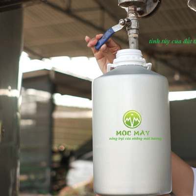 Tinh dầu Bưởi Chùm (bưởi Hồng, bưởi Úc) 50ml Mộc Mây - tinh dầu thiên nhiên nguyên chất 100% - chất lượng và mùi hương vượt trội