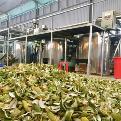 Tinh dầu Bưởi Da Xanh nguyên chất từ vỏ bưởi thiên nhiên, xông phòng, khử mùi, thơm phòng, đuổi muỗi - KingOil