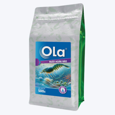 OLA RUỘT HOÀN HẢO: Giải pháp cho sức khỏe đường ruột