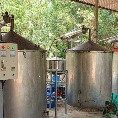 Tinh dầu Bạch Đàn Chanh 10ml Mộc Mây - tinh dầu thiên nhiên nguyên chất 100% - chất lượng và mùi hương vượt trội - Có kiểm định